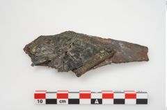 Foto von Bimetallgürtelhaken (NHMW-PRAE-025710)